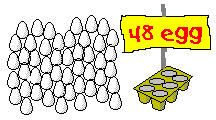 egg48